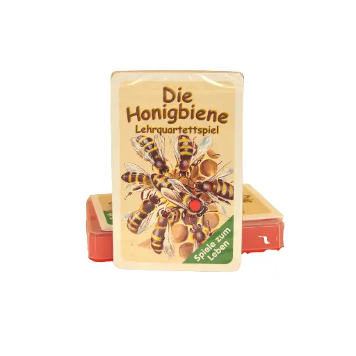 Bienen-Lehrquartett
